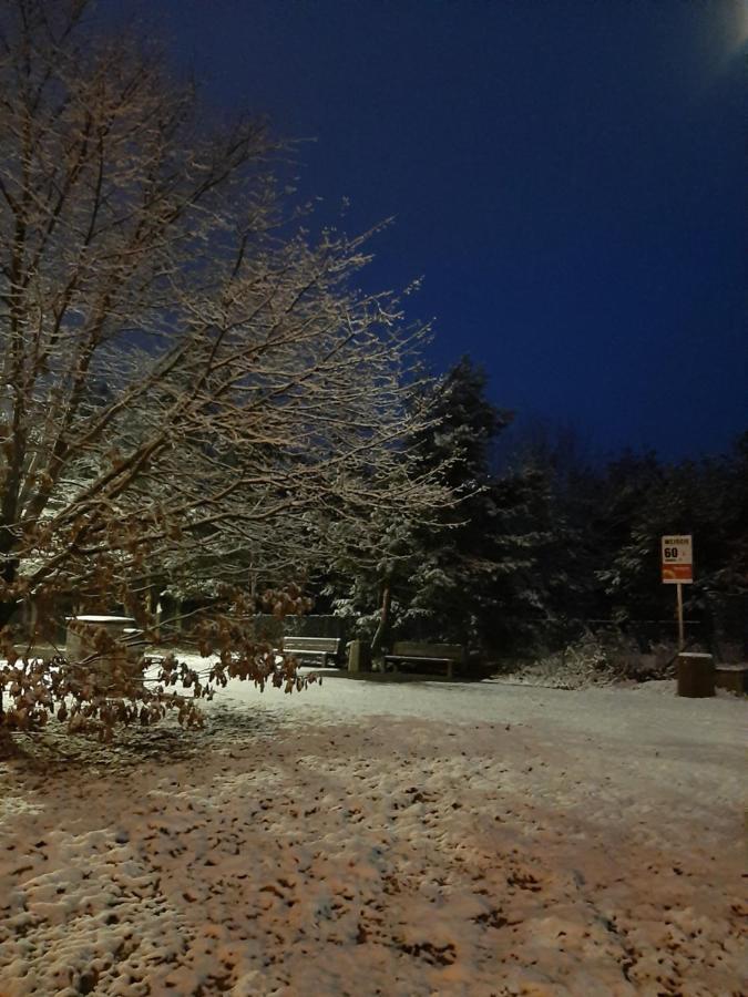Jagiellonska 42 Przymorze Gdańsk Exterior foto